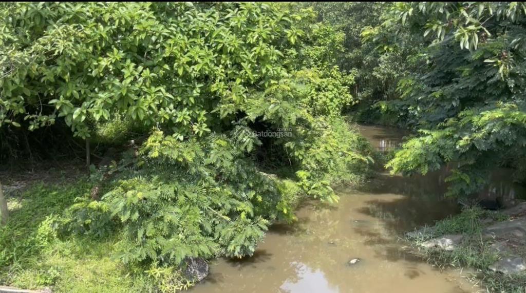 Mt25m đường betong cách suối nước nóng trường xuân chỉ vài km có suối nước lạnh đằng sau