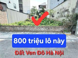 Cần tiền bán gấp lô đất 100m chỉ 800 triệu thôi ạ!