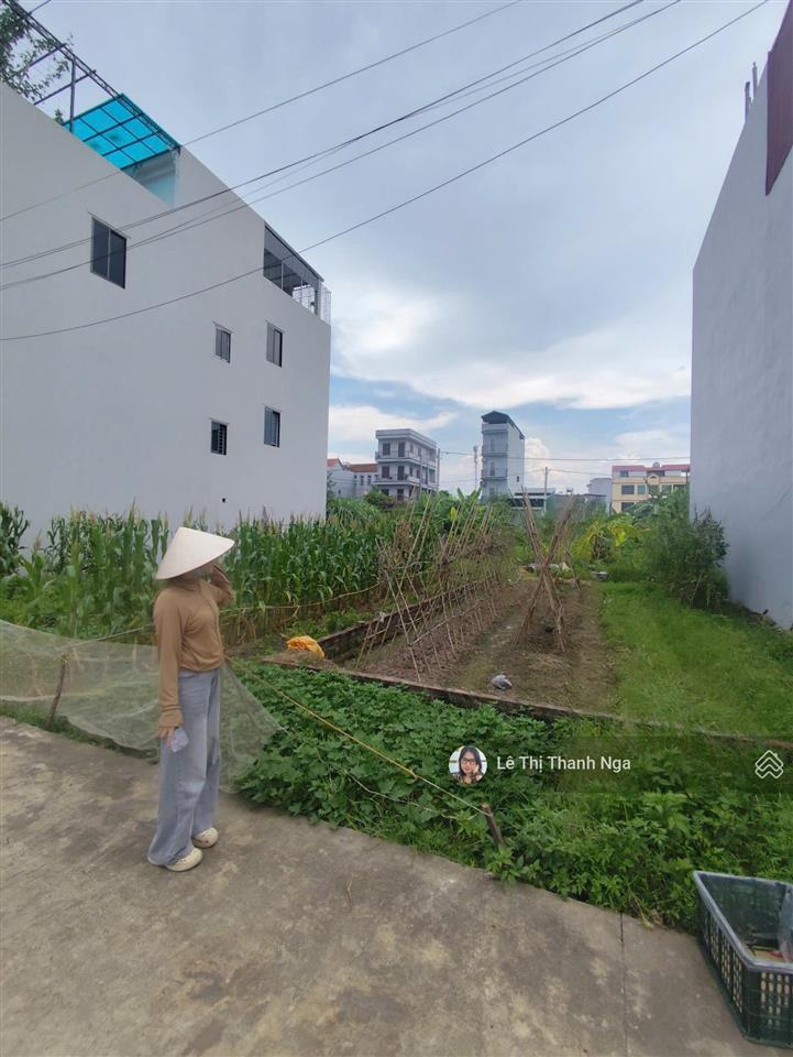Bán đất dịch vụ lại yên, dt 103.6m2 giá đầu tư