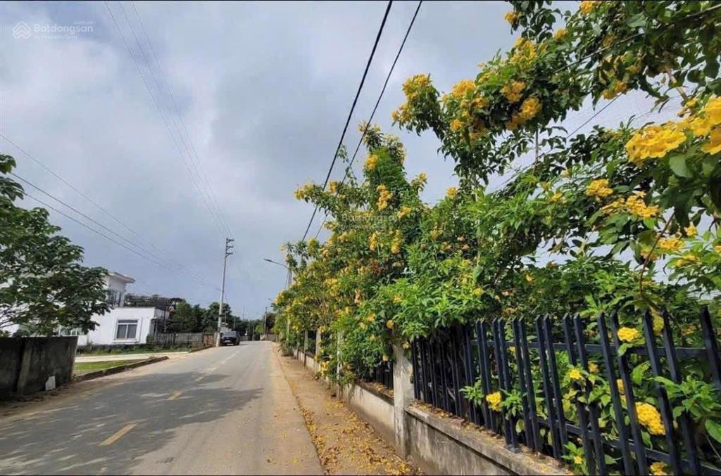 Hàng hiếm đất mặt hồ hoà lạc giá chỉ từ 2 tỷ