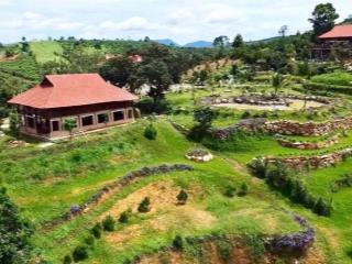 Ngân hàng phát mãi ngán quá bán gấp 1000m2 có nhà gỗ sẵn cắt lỗ chạm đáy chỉ 511tr