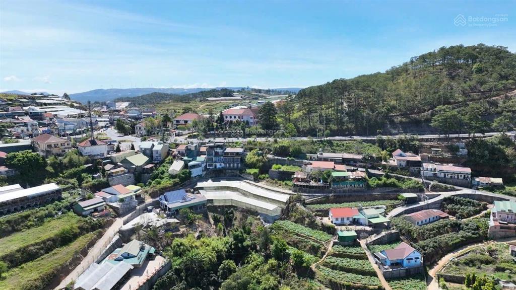 Anh trai đầu tư chứng khoán lỗ ngập sâu cần bán gấp 500m2 ven đà lạt, chỉ 401 tr