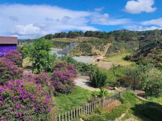 Chú dì xoay vòng vốn mãi không được cần bán gấp 600m2 có sẵn sân vườn, chỉ 533 tr