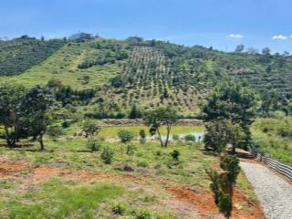 Đang có miếng vườn 1400m2 giáp suối do thiếu vốn đành bán ngộp sâu còn 400k/m2