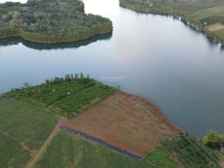 Dì xoay vòng vốn không kịp bán lỗ sâu miếng 1000m2, view giáp mặt hồ chỉ 503 tr