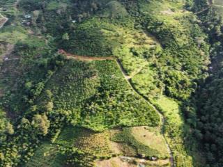 Đến hạn đóng lãi không đủ dì bán lỗ sâu chạm đáy miếng 1200m2, chỉ 433 tr