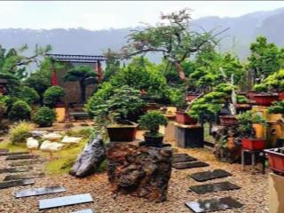 Bán lỗ 800m2 gần sân bay chỉ 601tr