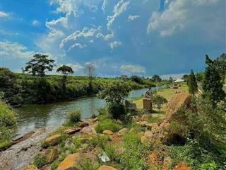 Xoay tới xoay lui không kịp bán lỗ chạm đáy 1400m2, chỉ 680 tr