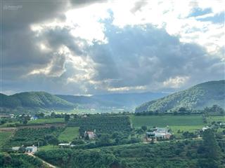 Định cư nước ngoài không kịp về để coi trông đành bán lỗ 89% miếng 1500m2, chỉ 503 tr