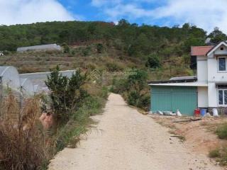 Dì nghe lời người quen lấy tài sản thế chấp giờ không đủ buộc bán lỗ sâu 1800m2 chỉ 505tr