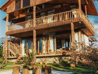 Chị họ không kịp hồi vốn đành bán lỗ 1285m2 chỉ 608tr