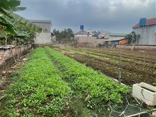 Cần bán mảnh đất 60m cách chợ đông tảo 200m giá đầu tư 1.190 tỷ bao phí  0961 694 ***
