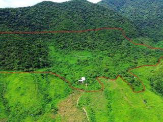 Bán đất tại đt 601, hòa bắc, hòa vang, đà nẵng, 7ty2, 270000m2 sổ đỏ