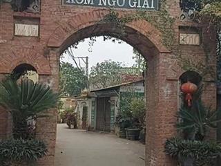 Bán nhanh đất trung tâm xã ngọc tảo  gần ql32  giá tốt cho nhà đầu tư