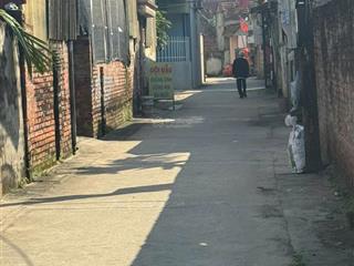 Bán nhanh 100m² trục chính yên dương kinh doanh ngọc tảo, phúc thọ, hà nội