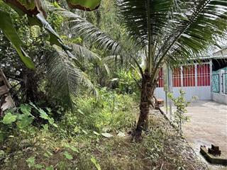 Chính chủ bán đất 650tr shr hoà khánh đông, đức hoà