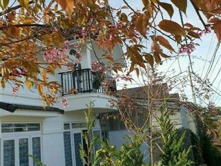 Biệt thự phường 8 chỉ 9,5 tỷ view thoáng đẹp