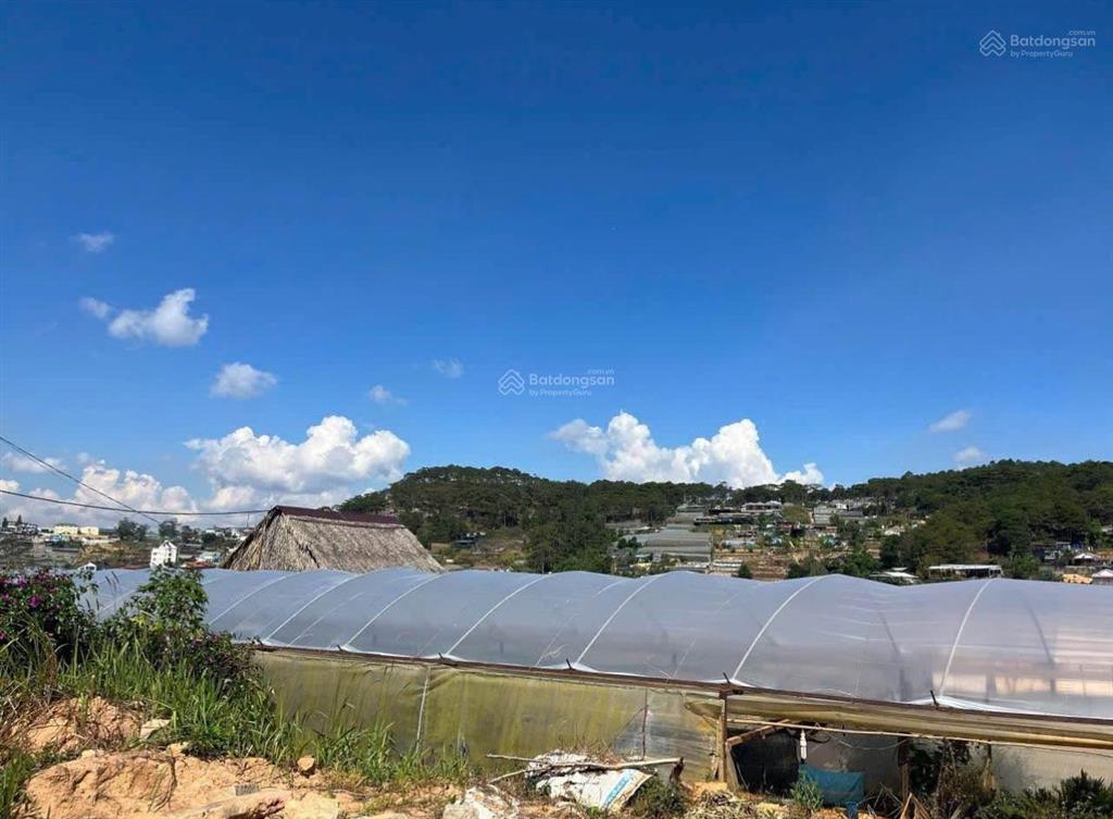 550m2 full thổ cư mặt tiền trịnh hoài đức view đẹp chỉ 38tr/m2