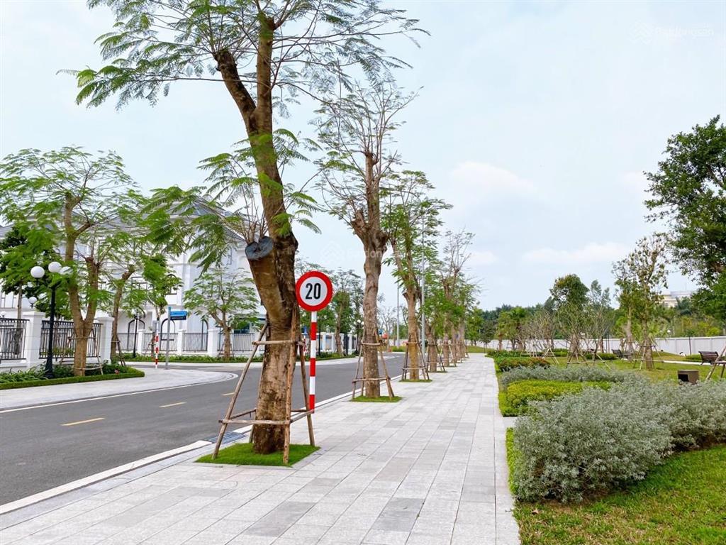 Cần bán biệt thự đơn lập căn góc, view vườn hoa vinhomes green villas  diện tích 252.8m2 giá 7x tỷ