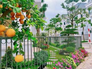 Quỹ căn vin green bay chính chủ gửi bán đa dạng diện tích đàm phán giá tốt nhất, hỗ trợ nhiệt tình