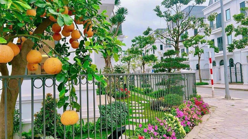 Giảm 8 tỷ!! chính chủ bán nhanh biệt thự vinhomes green villas 283m2  giá tốt nhất nội khu bao phí