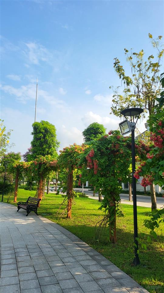 Chính chủ gửi bán biệt thự vinhomes green villas, diện tích 284m giá 80 tỷ cần bán