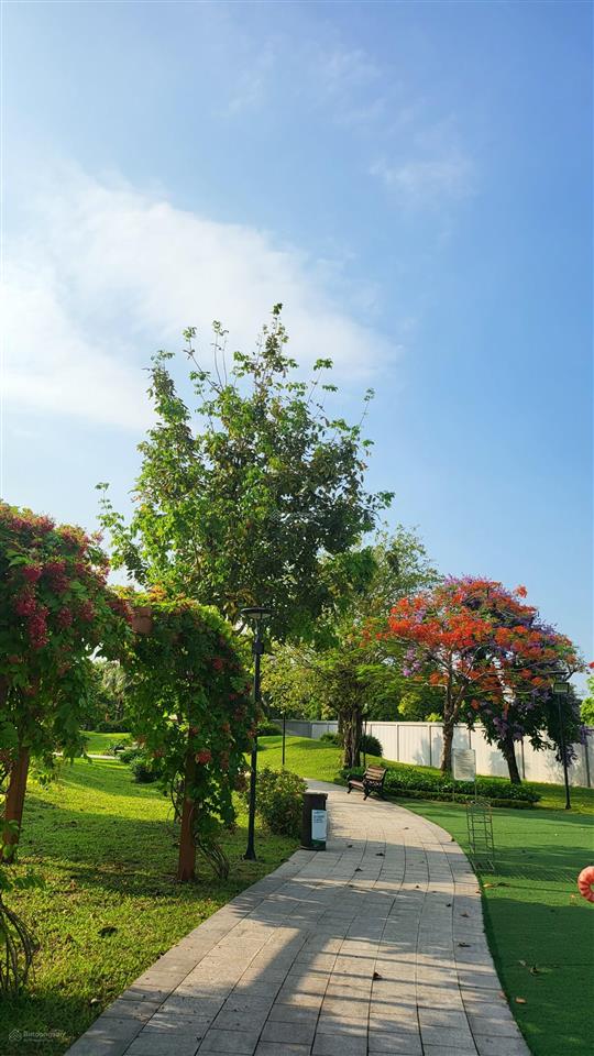 Chính chủ gửi bán biệt thự vinhomes green villas, diện tích 284m giá 80 tỷ cần bán