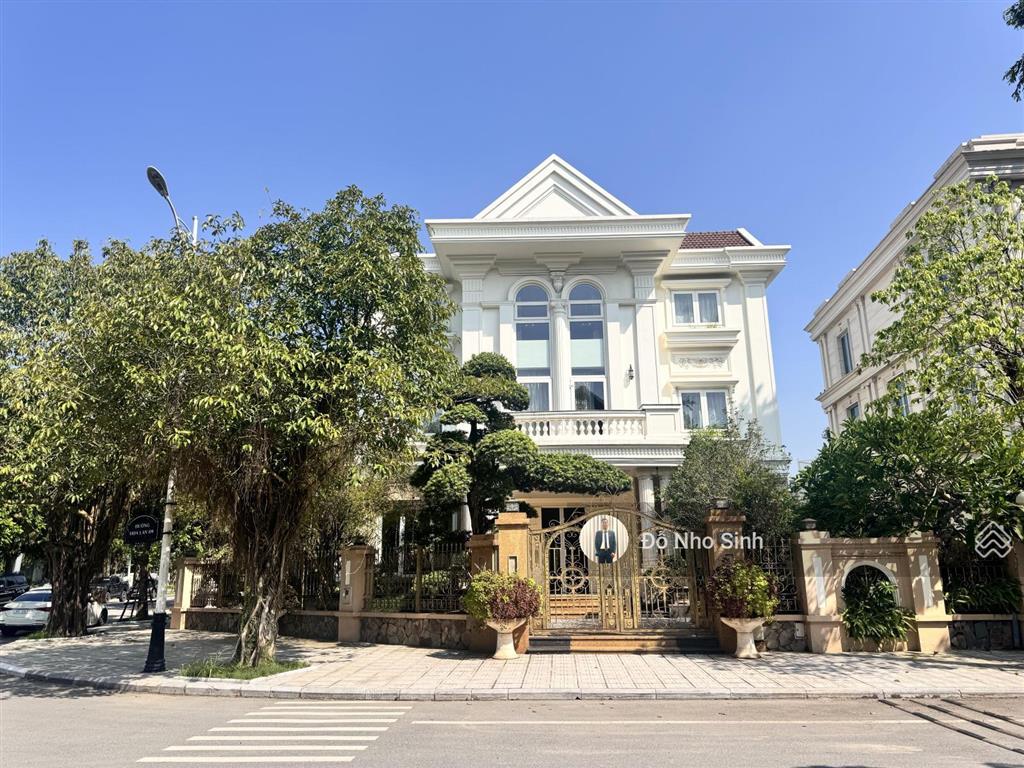 Bán gấp biệt thự viglacera sát khu louis city đại mỗ đường lê quang đạo diện tích 175m, chỉ 30 tỷ