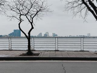 Siêu phẩm! tây hồ mặt phố nguyễn đình thi view hồ tây 222m2*4t* mt 12m, chỉ 145 tỷ