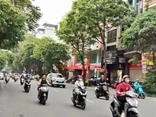 Hoa hậu..! phố huế giá đầu tư 160m2* 8 tầng* mặt tiền 5.5m, thang máy, giá chào chỉ 119 tỷ.