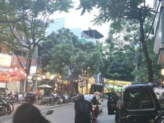 Vip toà building mặt phố phan kế bính, ba đình, thông sàn, thang máy 108m2 * 9t * mt 10.5m