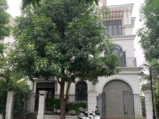 Bán gấp biệt thự đơn lập ngọc trai 18 ocean park 1 gia lâm view sông 297m2*3t* mặt tiền 16,5m