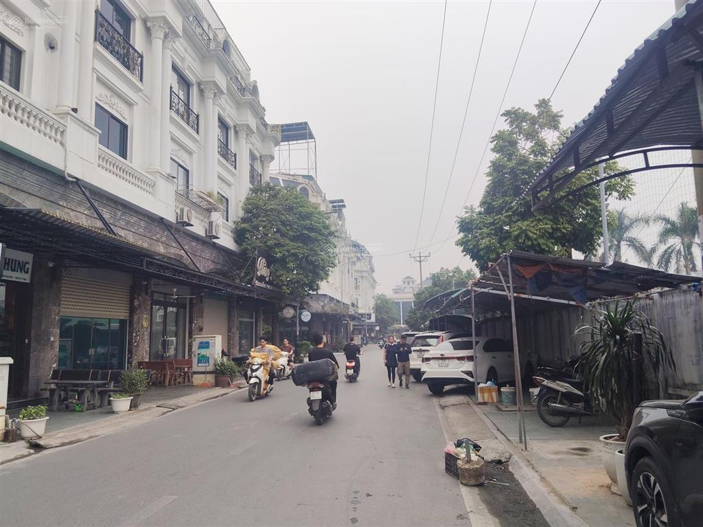 Cực hiếm! lk3 trung tâm chợ ninh hiệp kinh đô giao thương gia lâm 206m2* 6t* mt 10m, thang máy