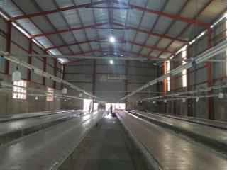 Cho thuê kho xưởng 770 m2 giá 33 triệu đồng / đường vườn thơm xã bình lợi huyện bình chánh tphcm