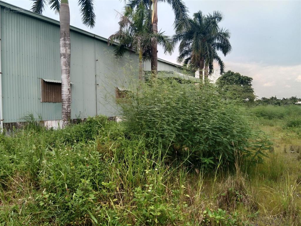 Cho thuê kho xưởng và đất 2.700 m2 giá 25 triệu đồng / xã hướng thọ phú thành phố tân an long an