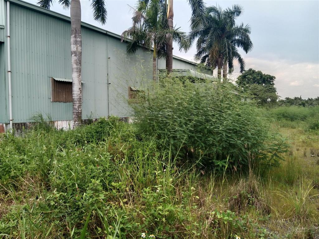 Cho thuê kho xưởng và đất 2.700 m2 giá 25 triệu đồng / xã hướng thọ phú thành phố tân an long an