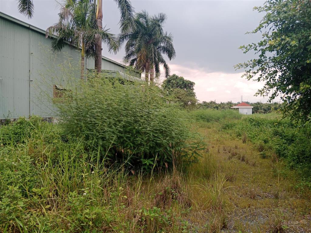 Cho thuê kho xưởng và đất 2.700 m2 giá 25 triệu đồng / xã hướng thọ phú thành phố tân an long an