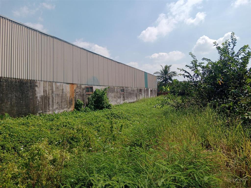 Cho thuê kho xưởng 480m2 giá 18 triệu đồng/tháng xã mỹ yên huyện bến lức long an