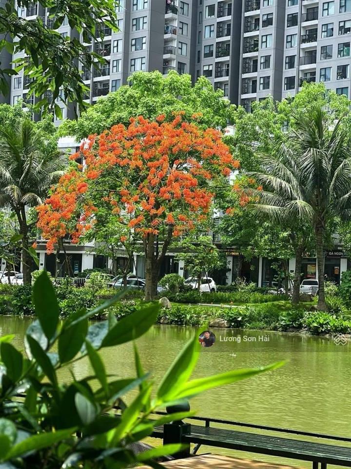 Cần bán gấp biệt thự đảo ecopark grand island 300m2. hải 0704 725 ***