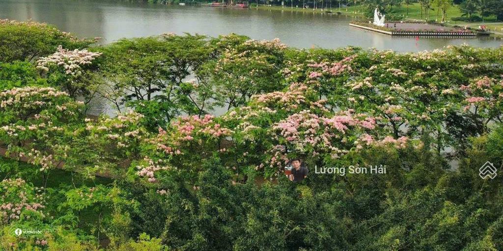 Cần bán gấp biệt thự đảo ecopark grand island 300m2. hải 0704 725 ***