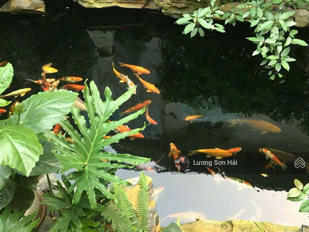 Bán biệt thự đẹp tại ecopark, đường trúc, văn giang, hưng yên, 71 tỷ vnd, 420 m2