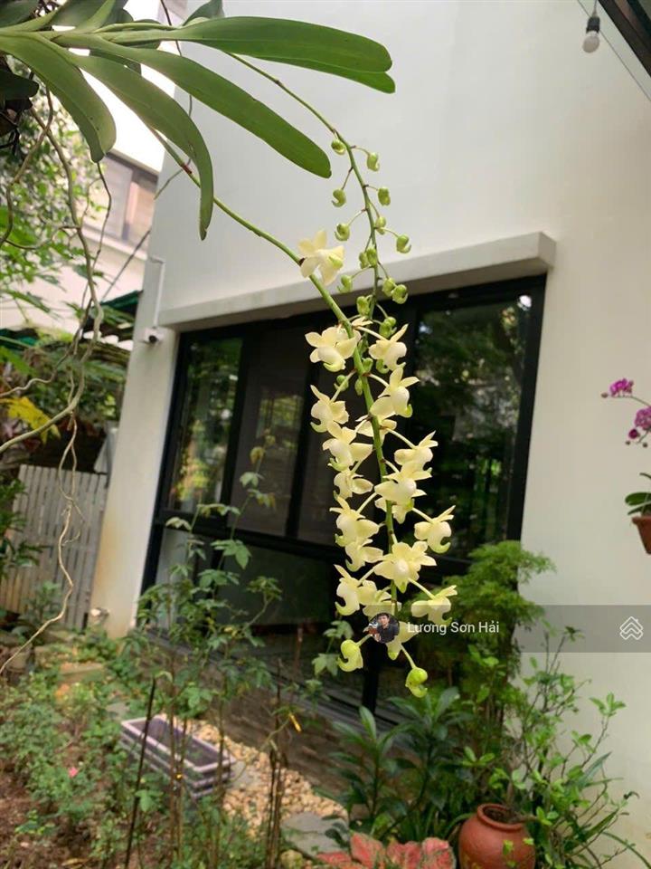 Cần bán nhanh biệt thự song lập góc (2 mặt tiền) ecopark. hải 0704 725 ***