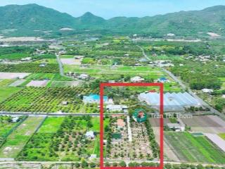 Cần bán 1000m² đất nghỉ dưỡng thị trấn phước hải , tp. hcm