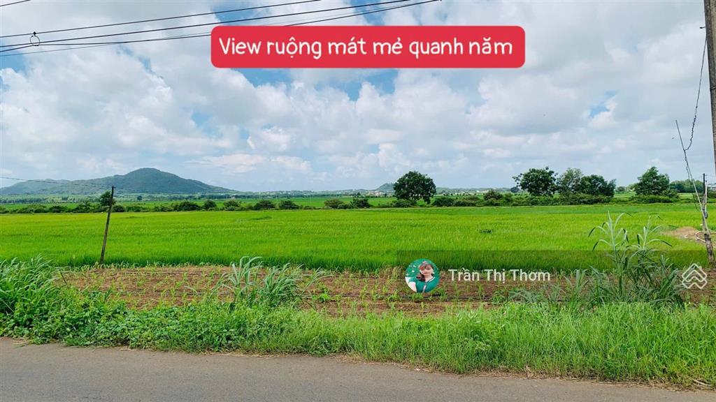 Chủ gửi bán 4 lô mặt tiền lê thánh tông tt đất đỏ