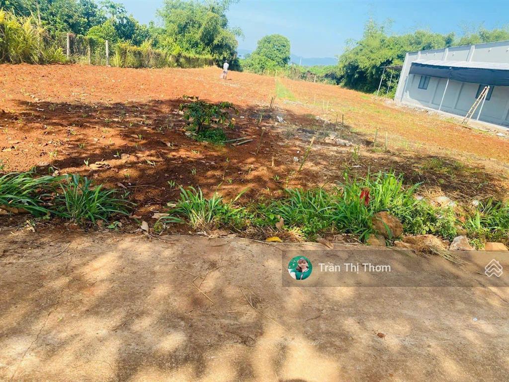 Bán 934m² đất thị trấn đất đỏ  brvt