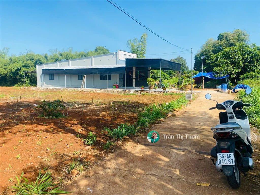 Bán 934m² đất thị trấn đất đỏ  brvt