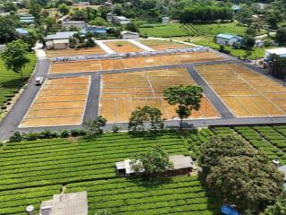Bán lô đất 65m² thổ cư 100%  trung tâm lạc thủy, hòa bình, giá f0 cực tốt để đầu tư