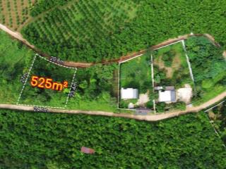 Đất view đẹp, trung tâm, dt 525m2 qh thổ cư, lộc thanh, bảo lộc, lâm đồng, giá chỉ còn 1,2 tỷ