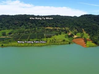 Đất đẹp view hồ ngọc view rừng tự nhiên, qh thổ cư. diện tích 2016m2 (33x67m) giá chỉ 6 tỷ