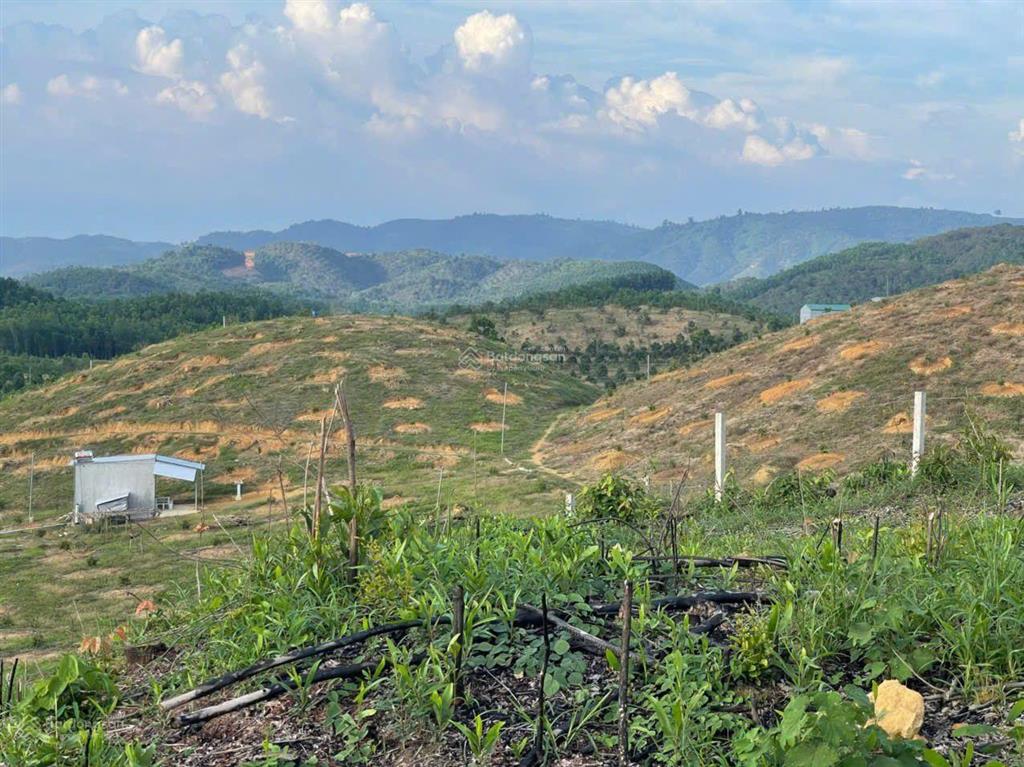 Nhà và vườn (biệt thự) dt 5,5 ha (700m2 ont) haimặt tiền tỉnh lộ 721 madagui đạ huoai lâm đồng